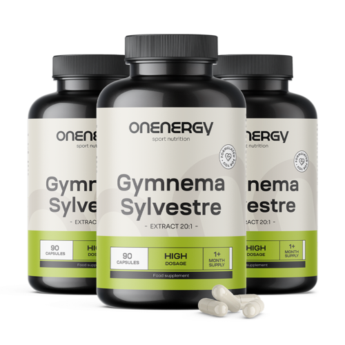 3x Gurmar (Gymnema Sylvestre) – ekstrakt 20:1, razem 270 kapsułek